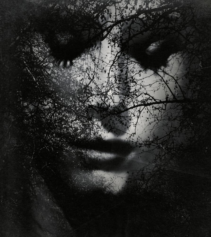 Mysterious Forest Portrait by Bogdan Bouşcă — canvas wall art