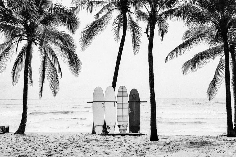 The Boards by Kathrin Pienaar — canvas wall art