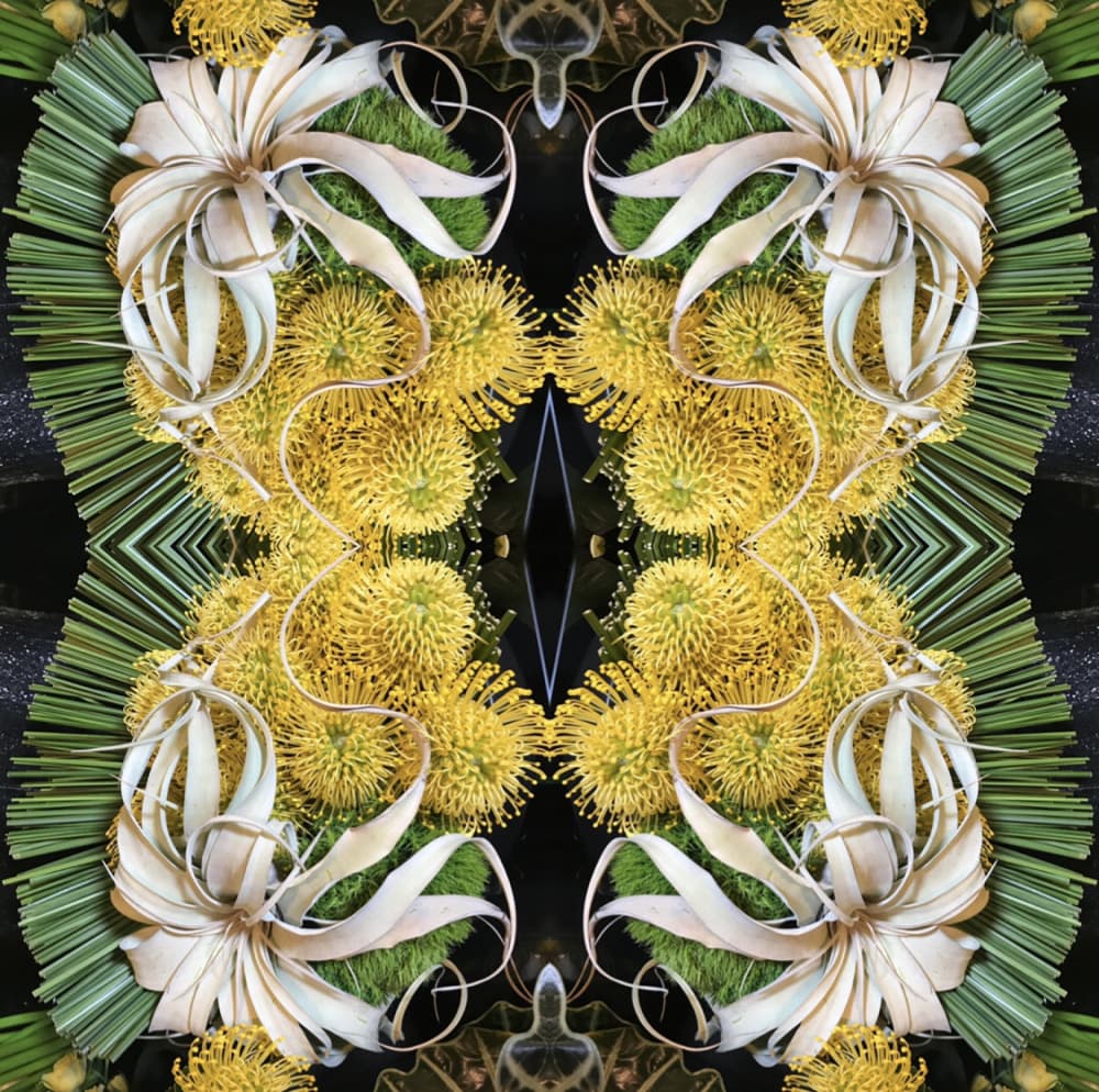 Vibrant Floral Symmetry by Patricia Pedraza Sanson — canvas wall art