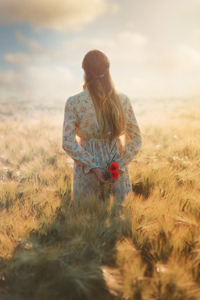 Golden Hour Poppies by Ildiko Neer — canvas wall art