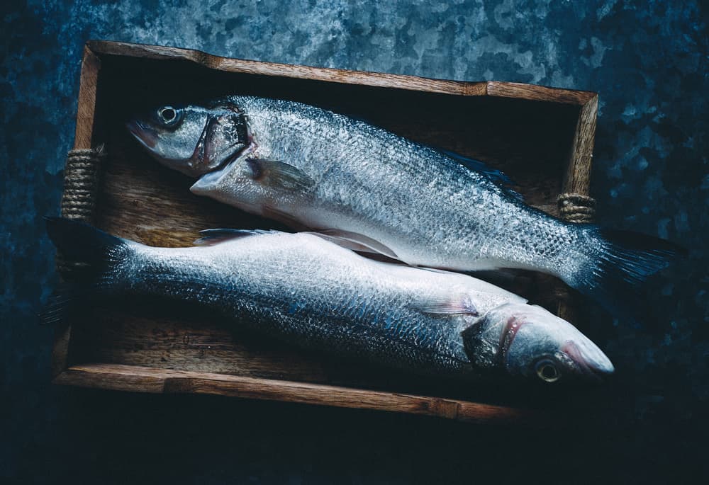 Rustic Fresh Sea Bass by Karina Aleksandrova — canvas wall art