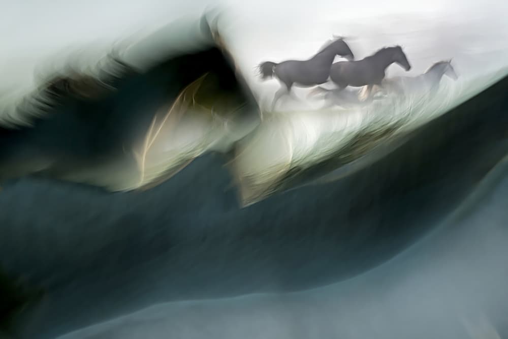 Galloping Spirit Horses by Milan Malovrh — canvas wall art