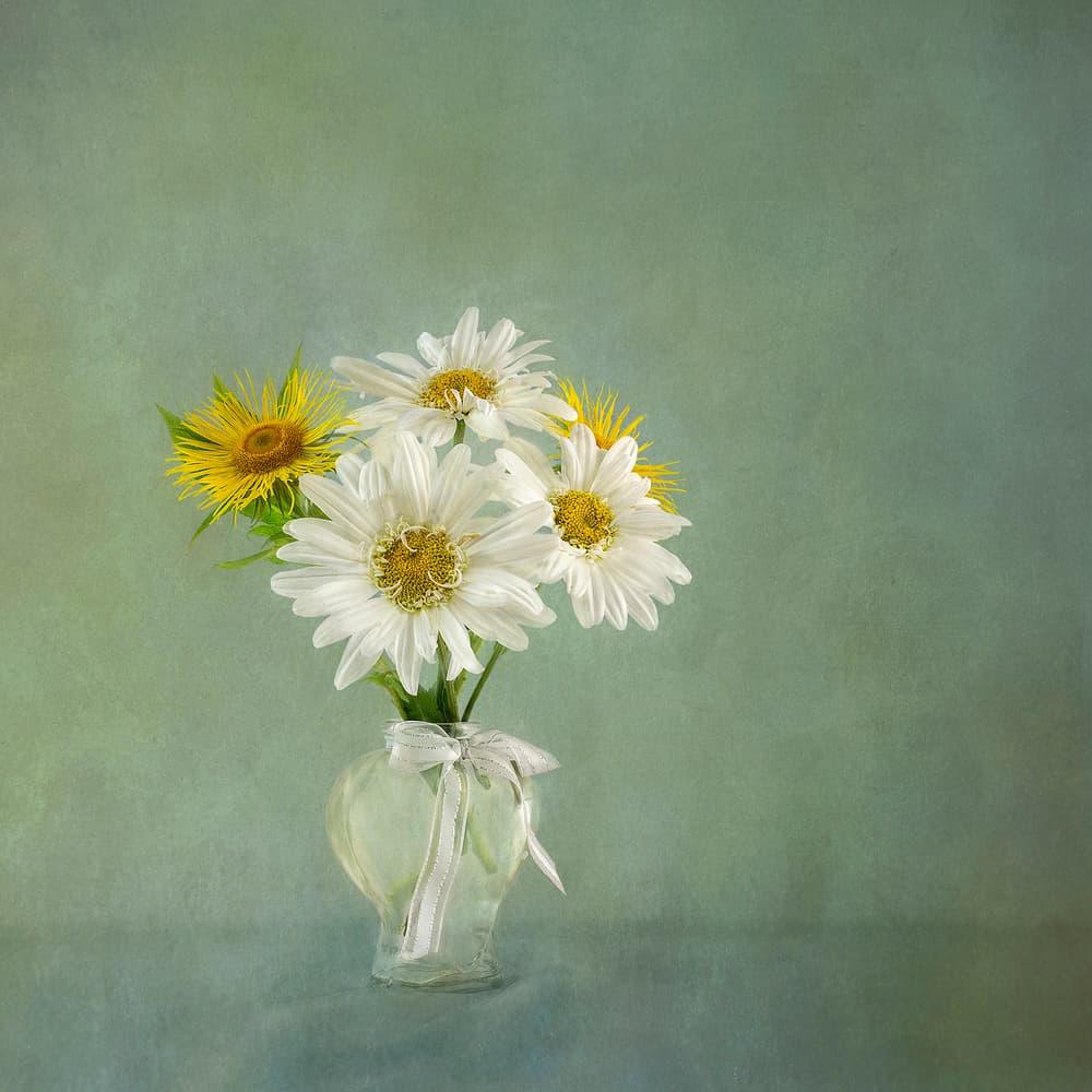 Fresh Daisy Bouquet by Gaille Gray — canvas wall art