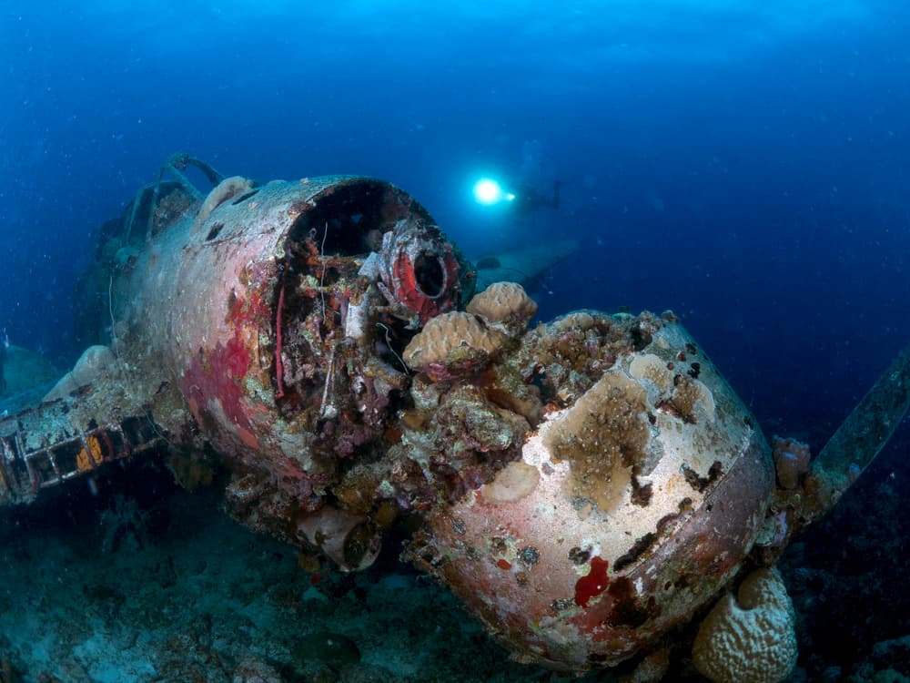 Sunken Airplane Dive by Ilan Ben Tov — canvas wall art