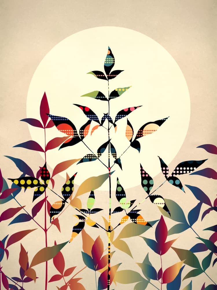 Vibrant Botanical Glow by Angelo Cerantola — canvas wall art