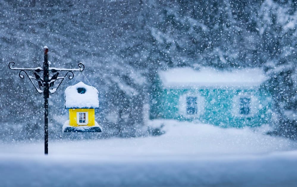 Cozy Winter Birdhouse by Kenneth-Wei Zeng — canvas wall art
