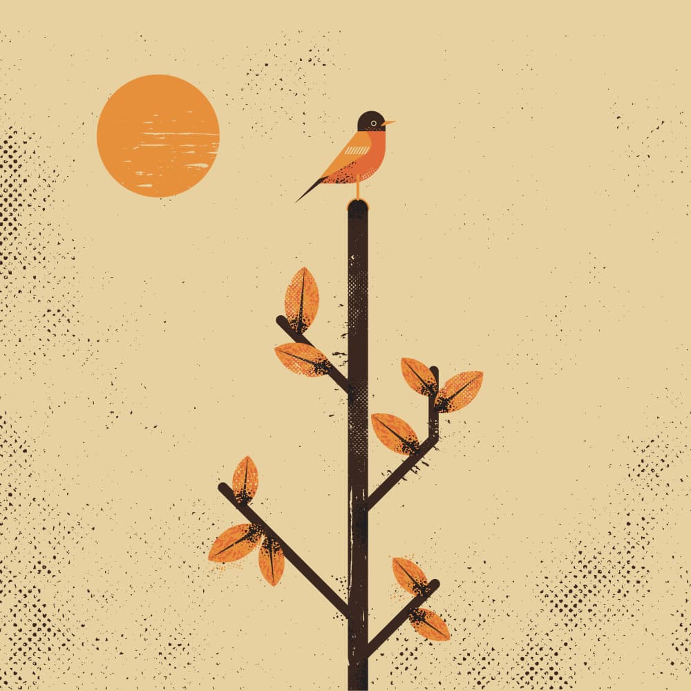 Autumn Robin Sun by The Creating Mind — canvas wall art