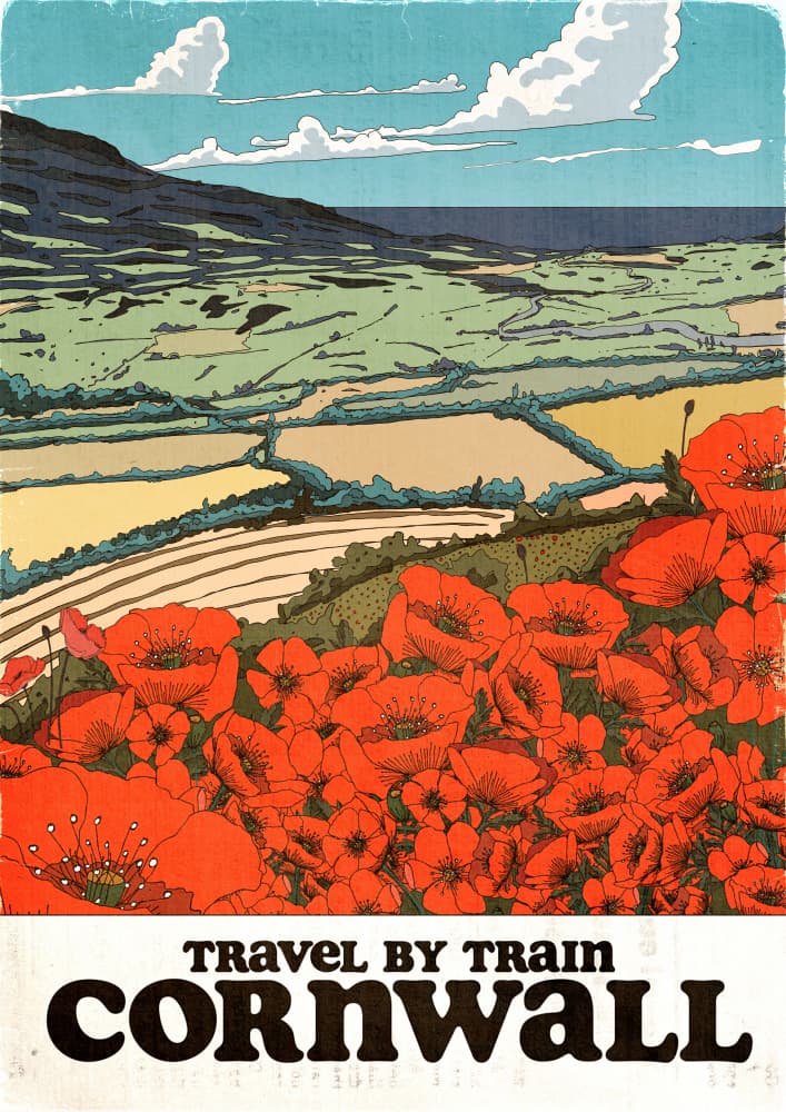 Cornwall Poppy Fields by Nicholas — canvas wall art