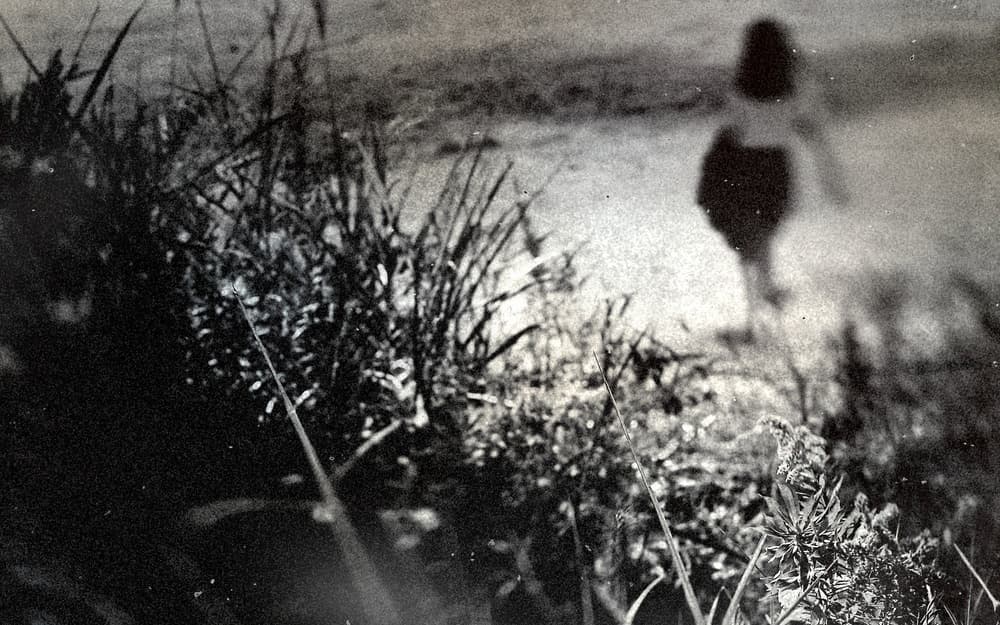 Lone Silhouette in Grass by Teruhiko Tsuchida — canvas wall art
