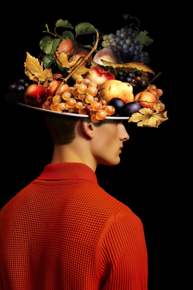 Fruit Hat Portrait by Marja van den Hurk — canvas wall art