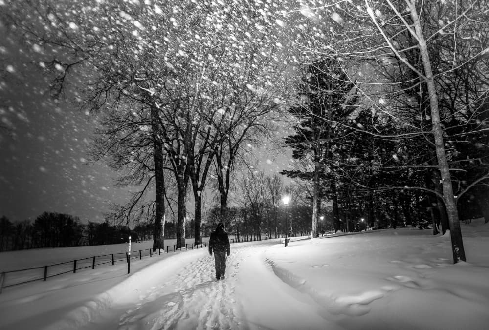 Solitary Winter Walk by Michiko Ôtomo — canvas wall art
