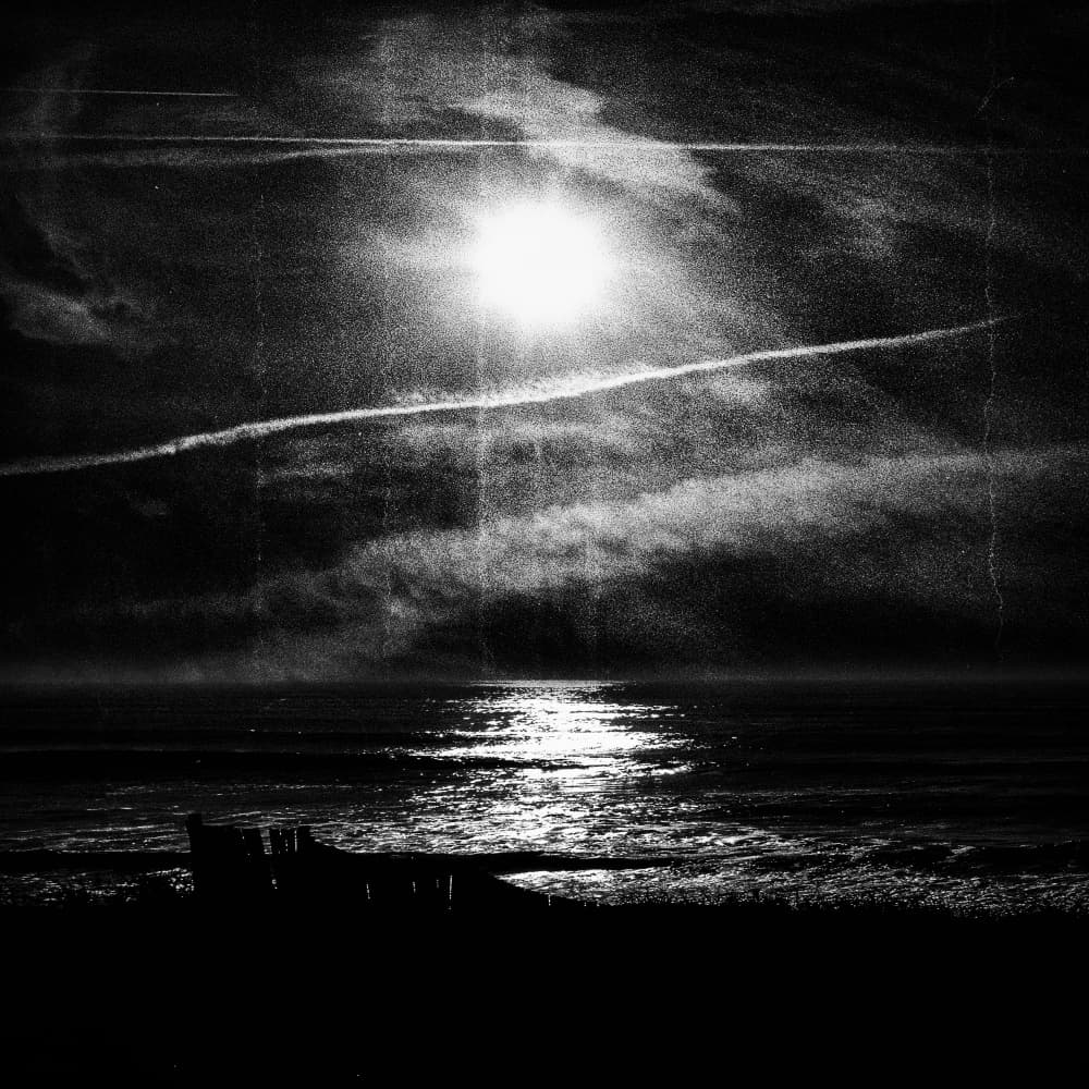 Moonlit Ocean Glow by Paulo Abrantes — canvas wall art