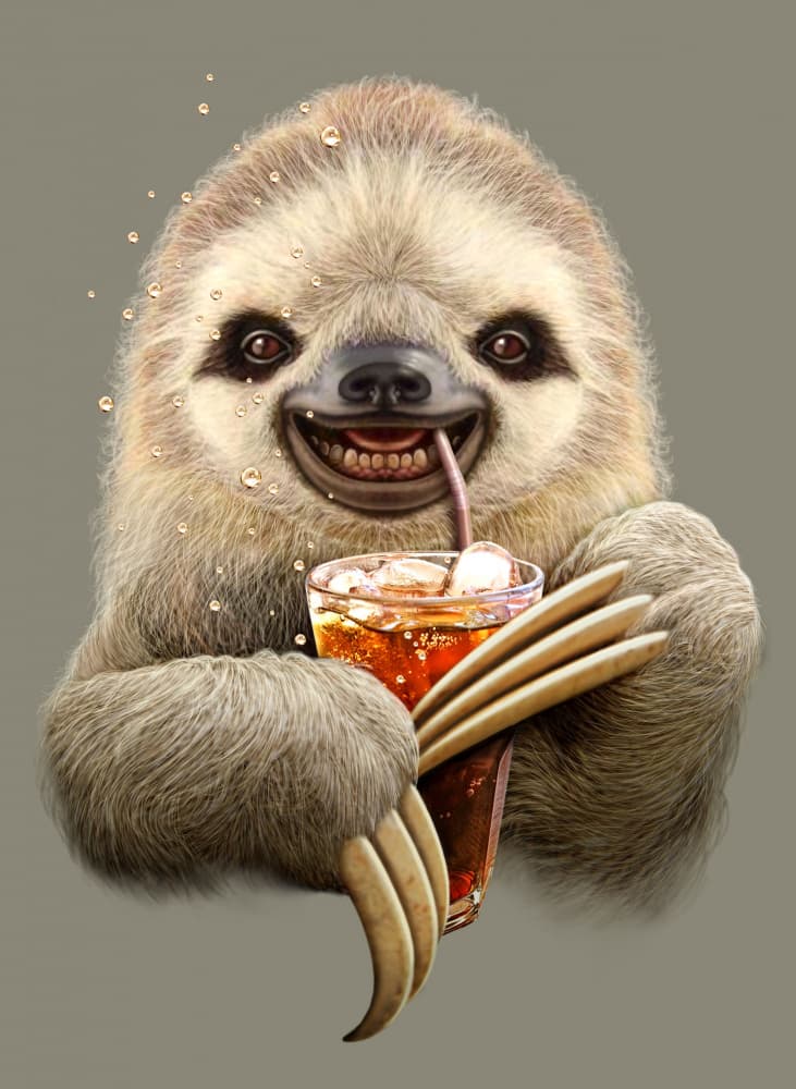Smiling Sloth Soda by Adam Lawless — canvas wall art