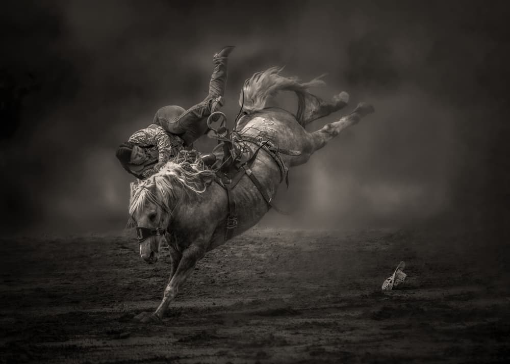 Wild Bronco Ride by Leechee Z — canvas wall art