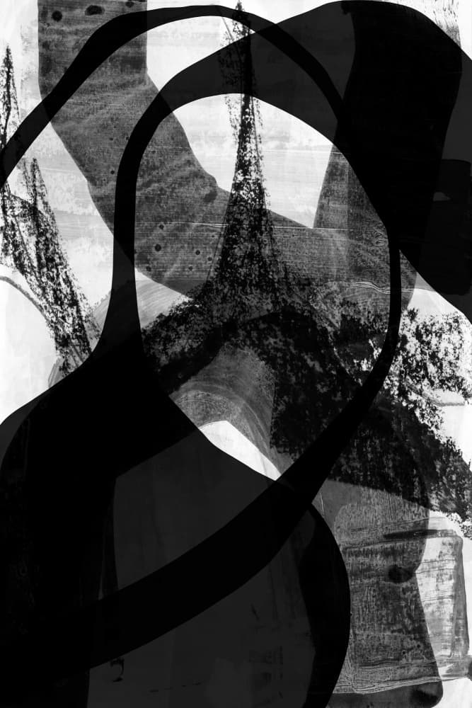 Dynamic Black Curves by cartissi — canvas wall art