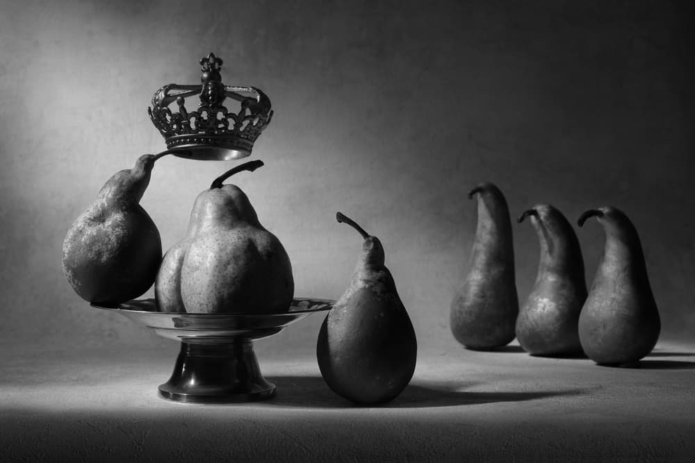 Regal Pear Still Life by Victoria Glinka — canvas wall art