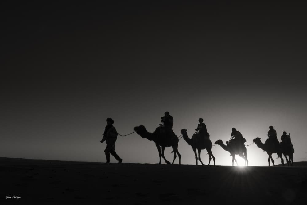 Desert Sun Caravan by Gina Buliga — canvas wall art