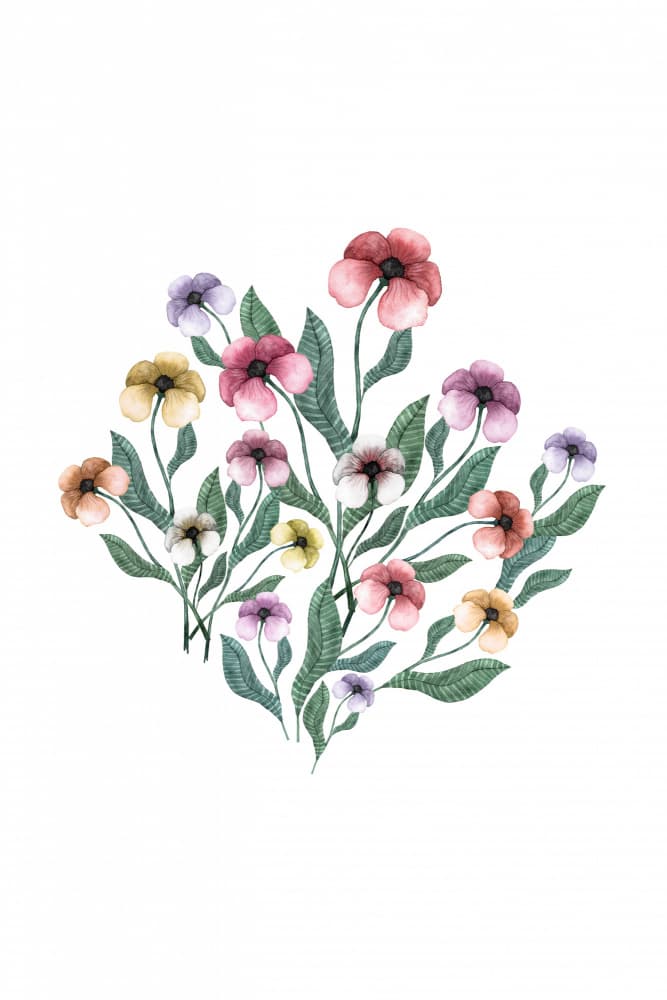 Colorful Watercolor Blooms by Karen Menzenbach — canvas wall art