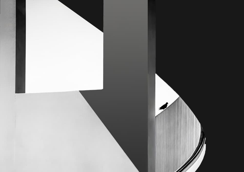 Geometric Bird Forms by Stephan Rückert — canvas wall art