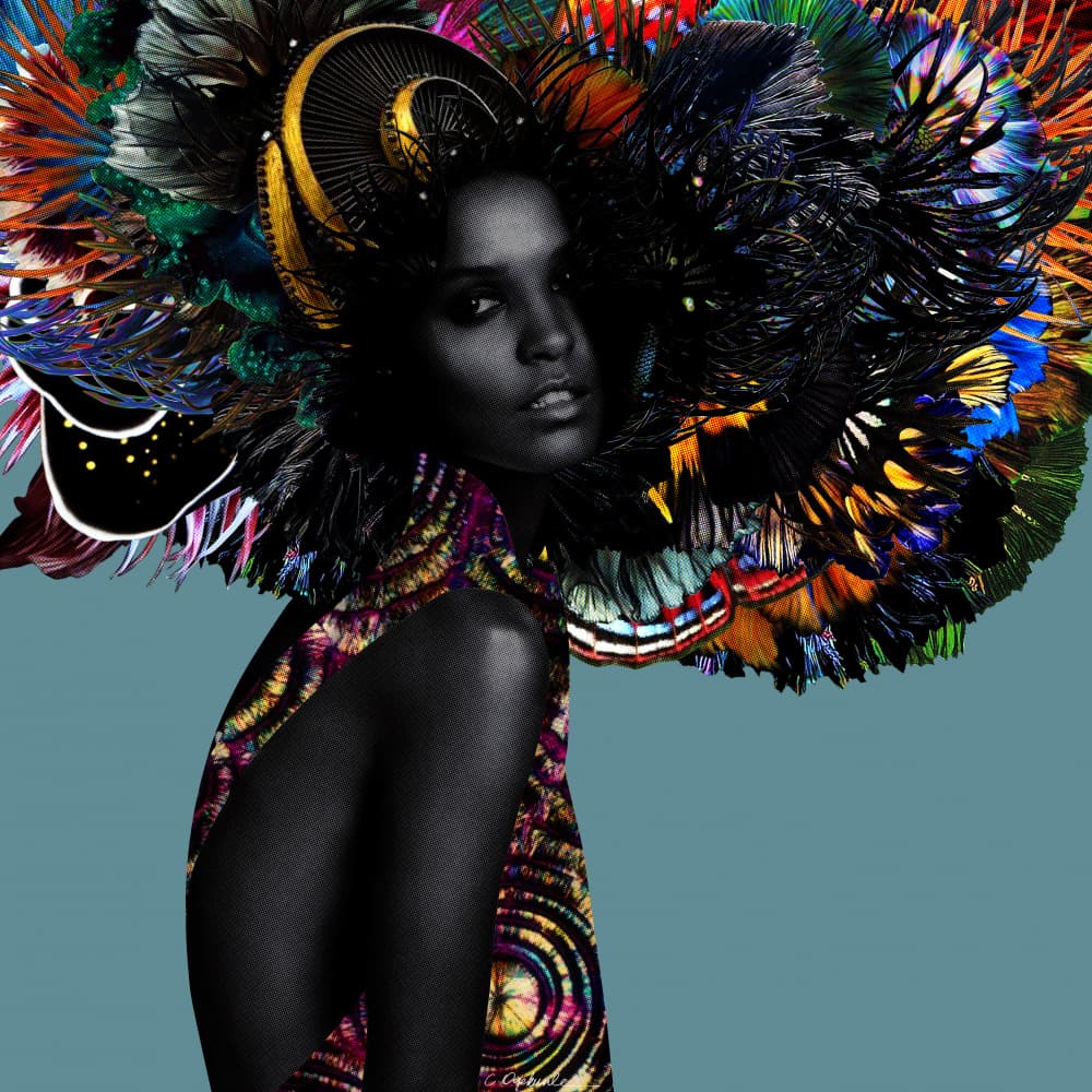 Exotic Feathered Portrait by Lolita Lorenzo — canvas wall art