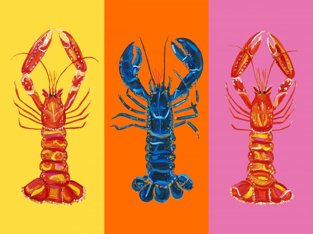 Colorful Pop Lobsters by Alice Straker — canvas wall art