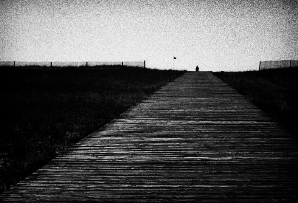Solitary Boardwalk Path by Paulo Abrantes — canvas wall art