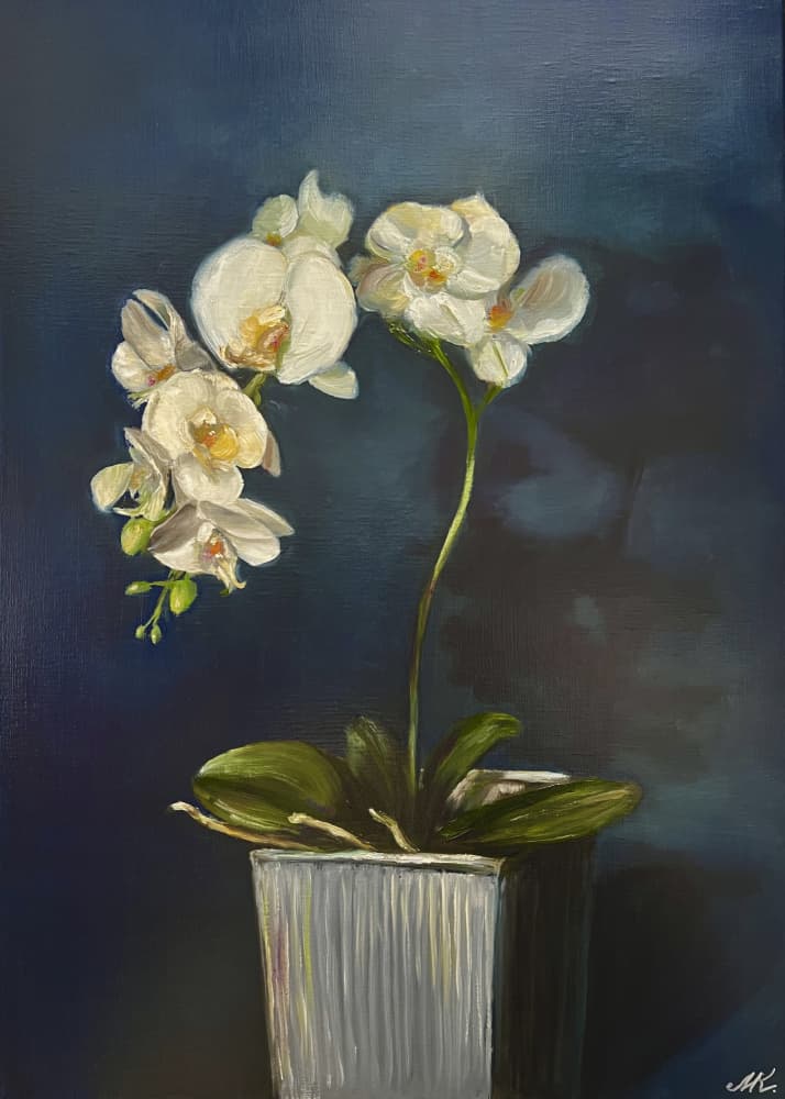 Elegant Potted Orchid by Marina Kozyr — canvas wall art