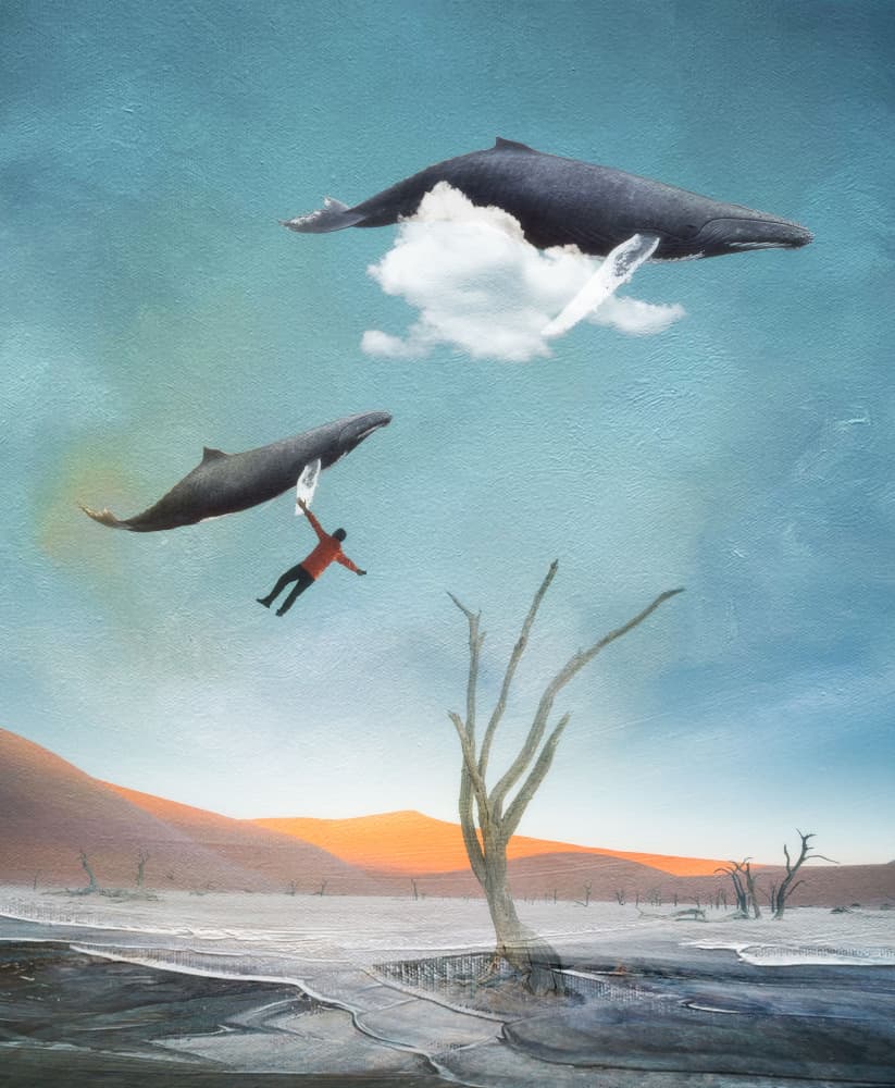 Surreal Desert Whale Flight by Willa Wei — canvas wall art