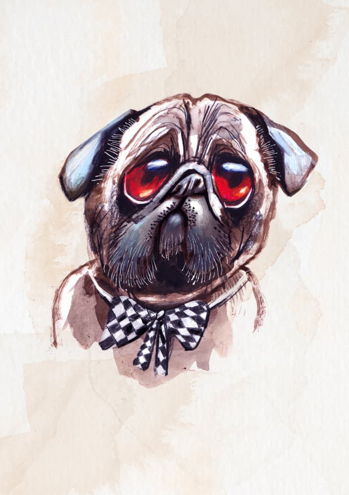 Melancholy Pug by Olga Skomorokhova — canvas wall art
