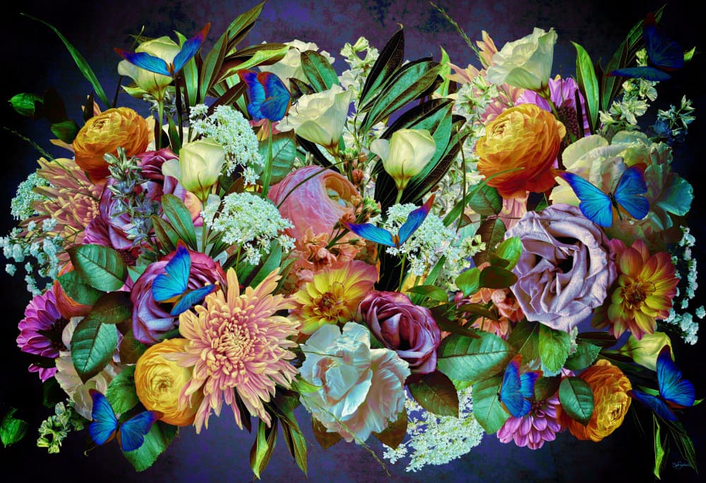 Dark Floral Butterflies by Sue Skellern — canvas wall art
