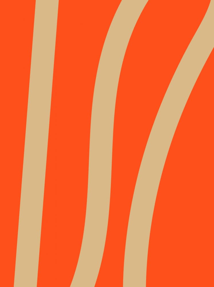Funkycurvesno09 by Treechild — canvas wall art