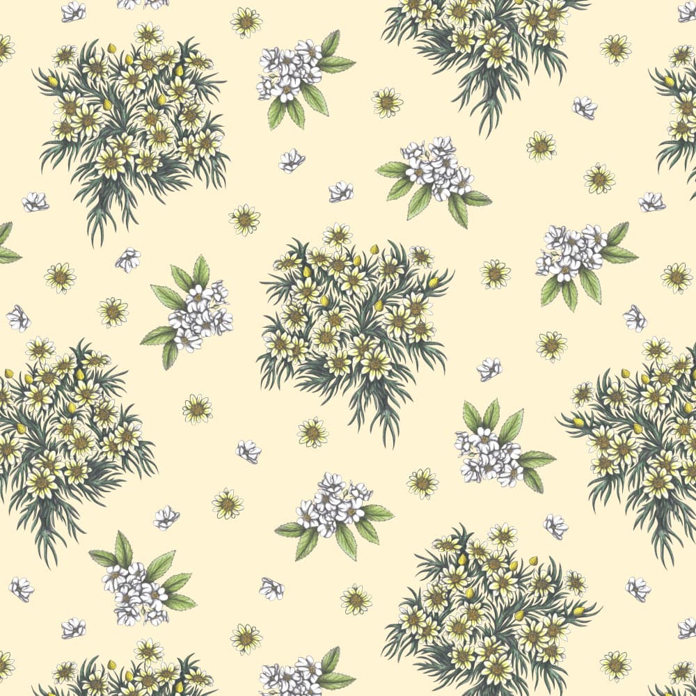 Daisy Floral Pattern by Cecilia Battaini — canvas wall art