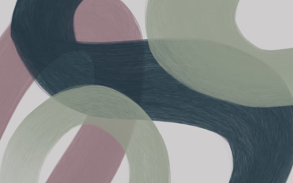 Organic Abstract Curves by Studio Palette — canvas wall art