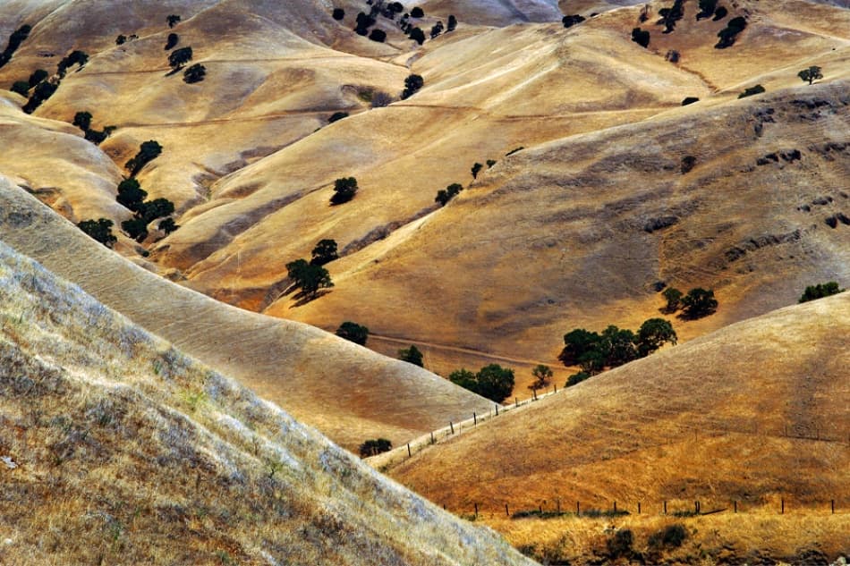 Golden Rolling Hills by Jure Kravanja — canvas wall art