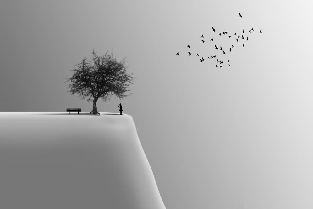 Solitude and Flight by Hadi Malijani (Malenjani) — canvas wall art