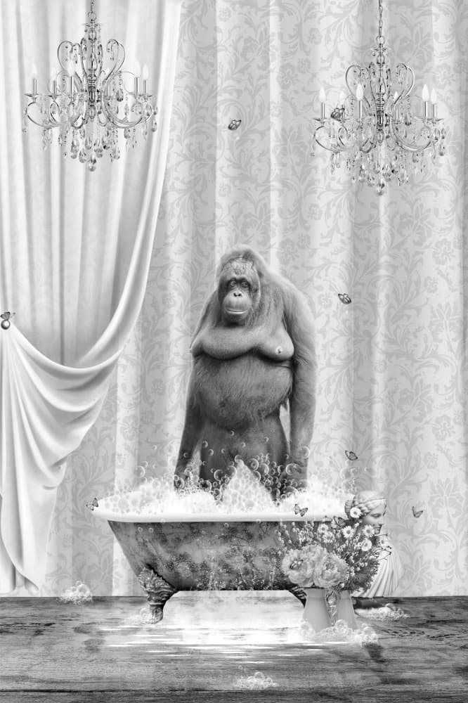 Orangutan's Elegant Bath by Sue Skellern — canvas wall art