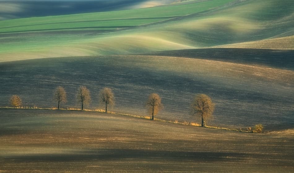 Serene Rolling Fields by Krzysztof Browko — canvas wall art