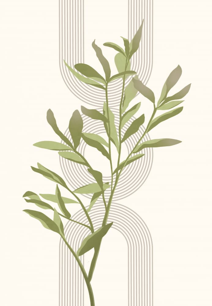 Sage Botanical Arches by Kristian Gallagher — canvas wall art