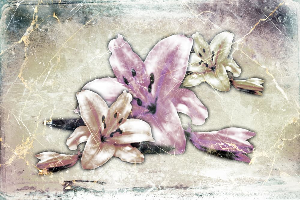 Soft Vintage Lilies by Rafal Kulik — canvas wall art