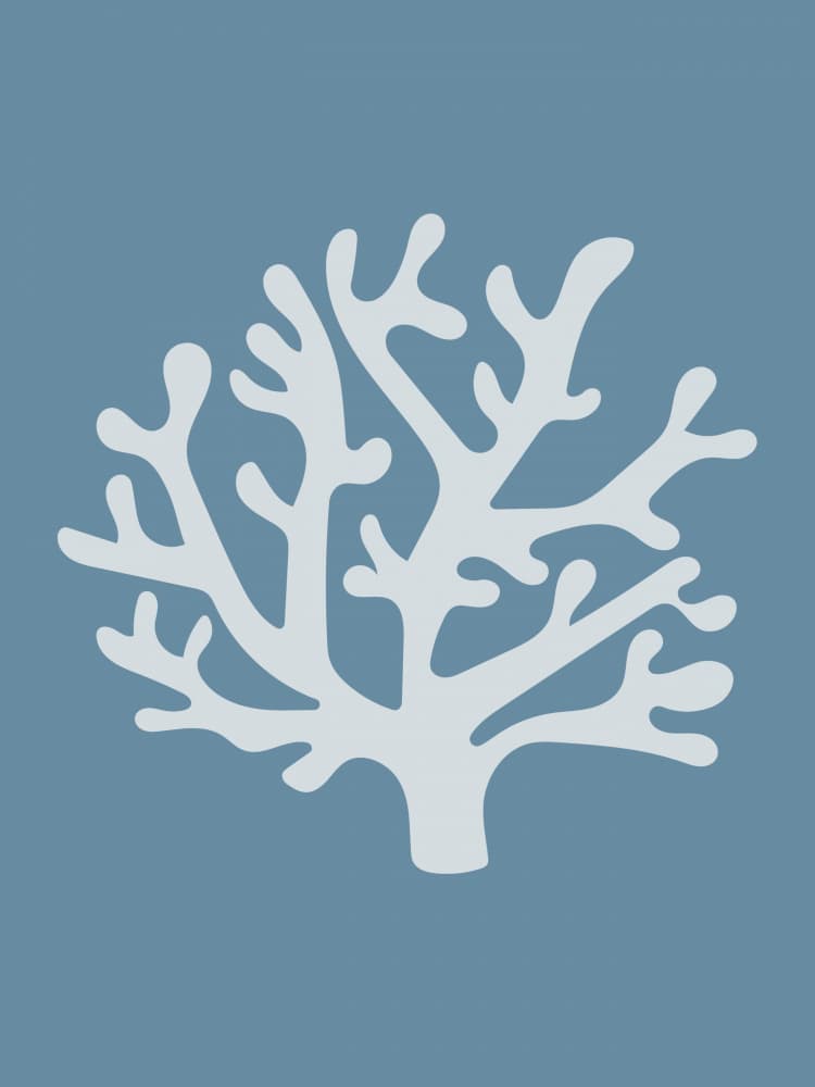Ocean Coral Branch by Jolly and Dash — canvas wall art