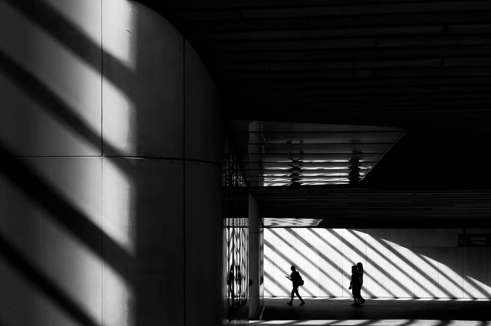 Striped Shadows Walk by Greetje van Son — canvas wall art