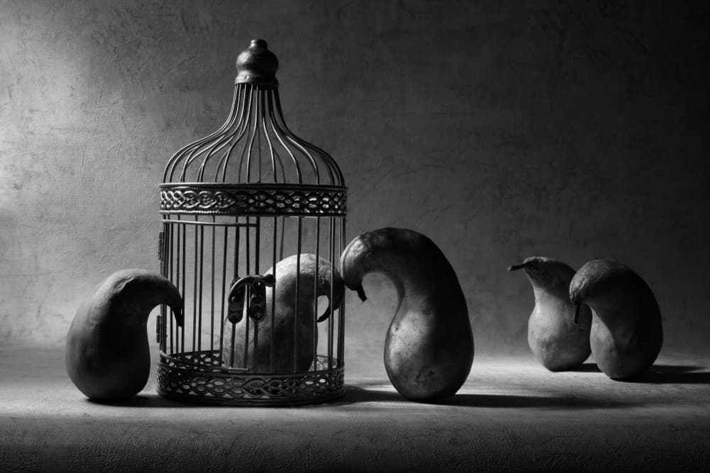 Surreal Pears and Cage by Victoria Glinka — canvas wall art