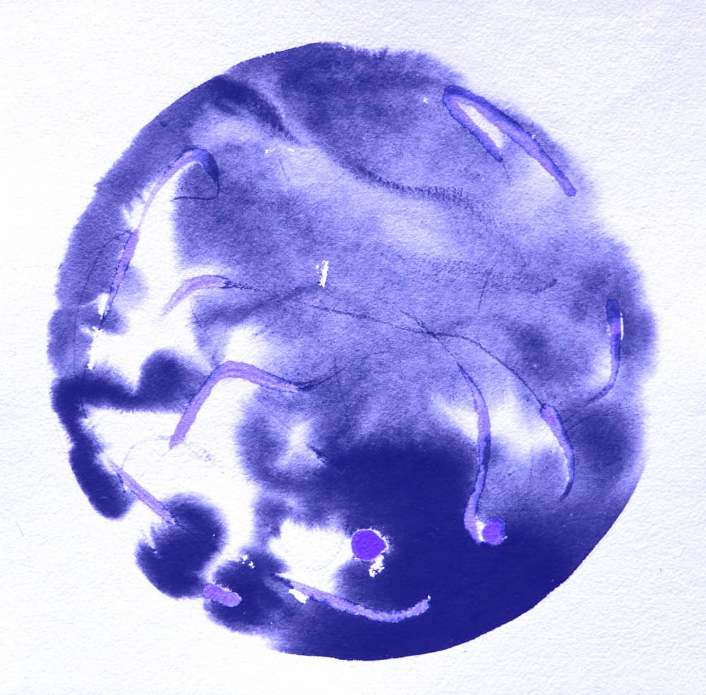 Mysterious Purple Creature by Santhosh ch — canvas wall art