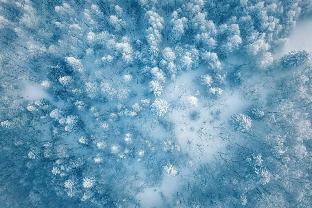 Snowy Forest Aerial by Yuan Cui — canvas wall art