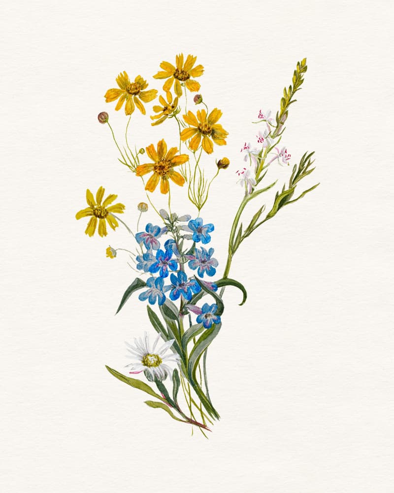 Colorful Wildflower Bouquet by Wild Violets — canvas wall art
