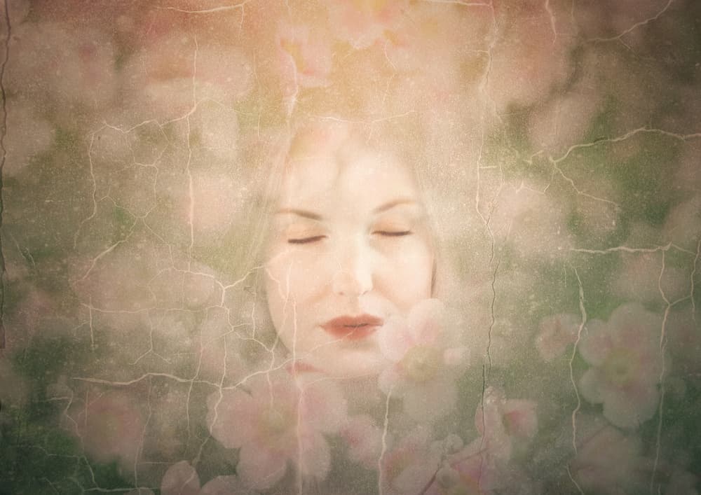 Serene Petal Dream by Katarina Holmström — canvas wall art