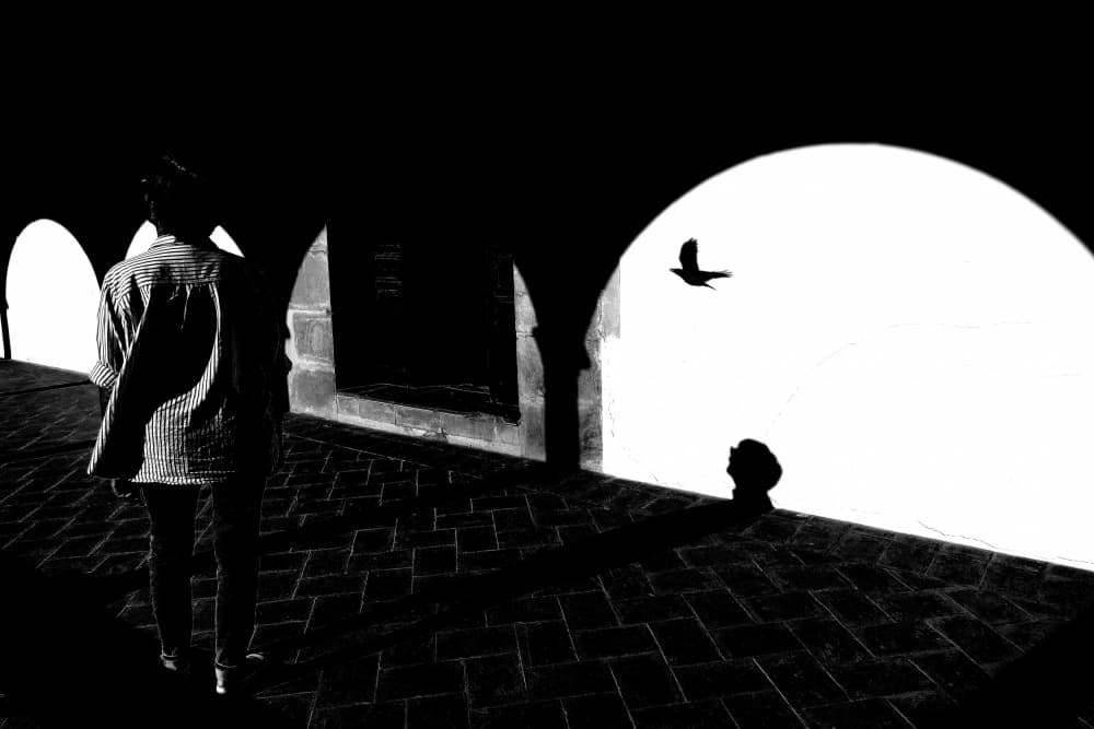 Flying Bird Arched Corridor by Giorgio Pizzocaro — canvas wall art