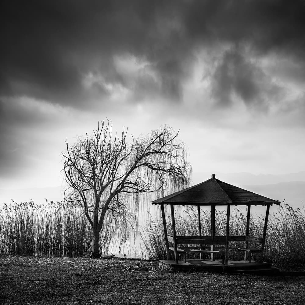Willow Tree Gazebo by George Digalakis — canvas wall art