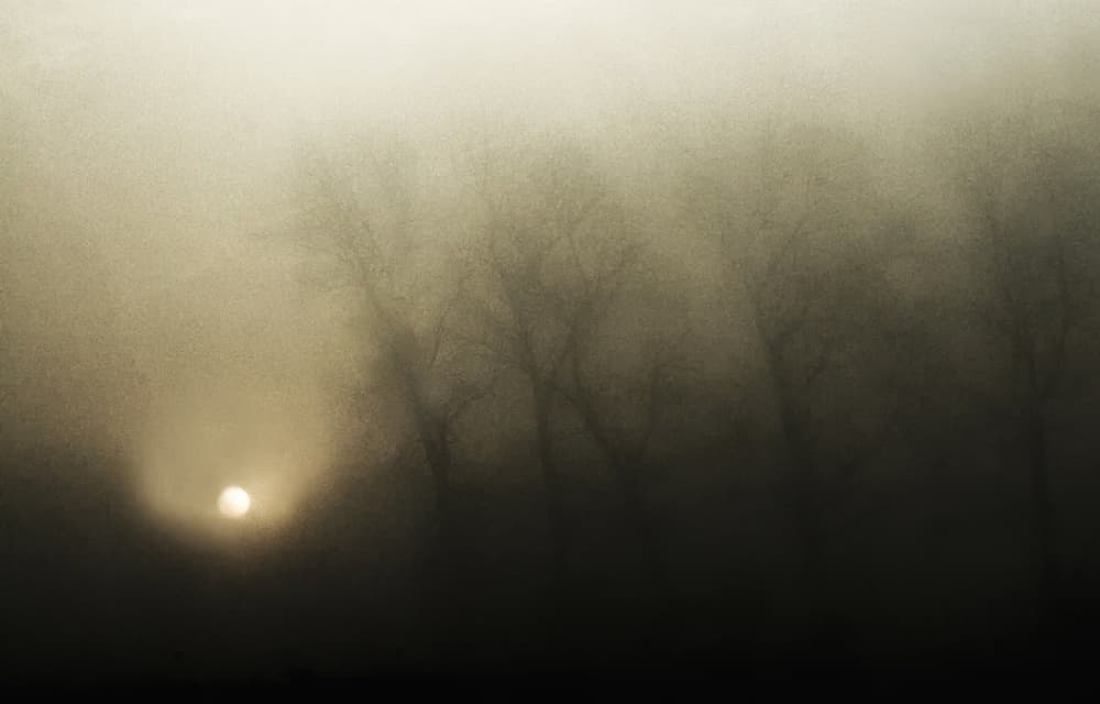 Golden Morning Mist by Yvette Depaepe — canvas wall art