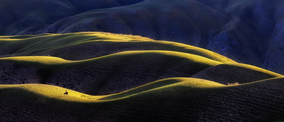 Golden Hills Rider by Ke Liu — canvas wall art